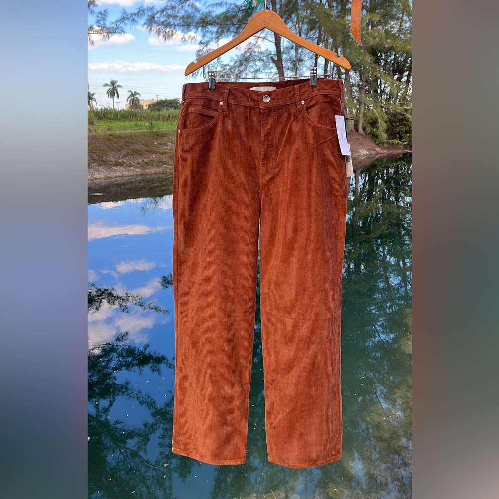 Urban Outfitters BDG Baggy Skate Fit brown Corduroy Pants